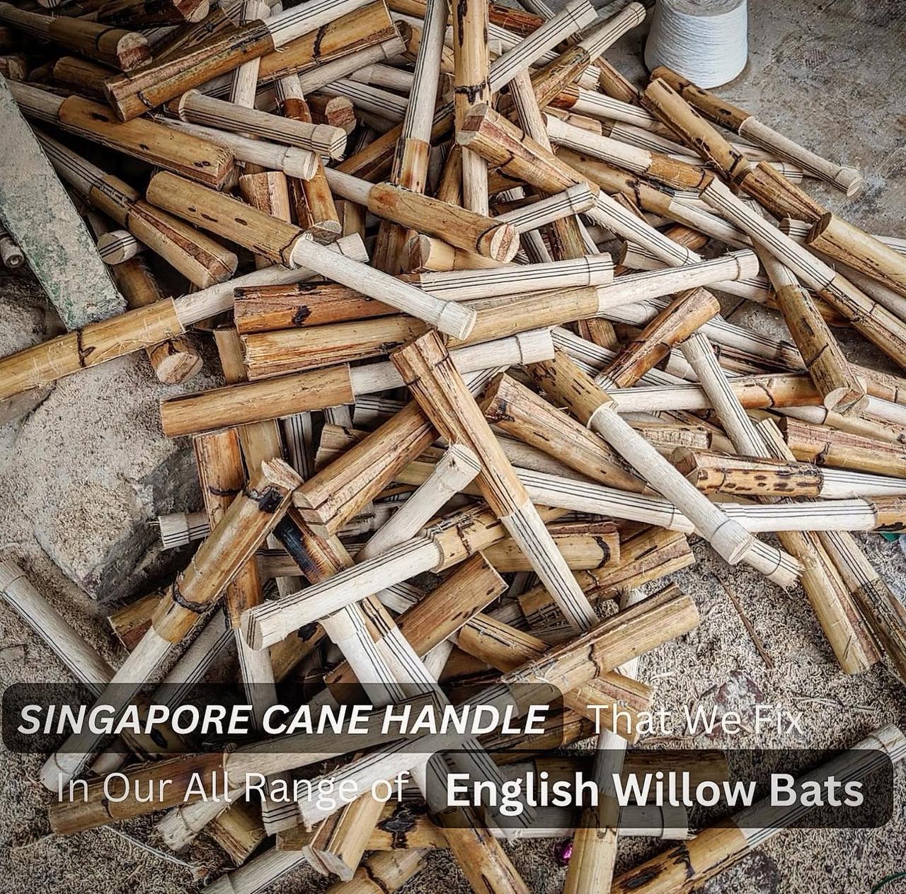 Cricket Bat Handle Shapes Explained: Power, Control & Comfort